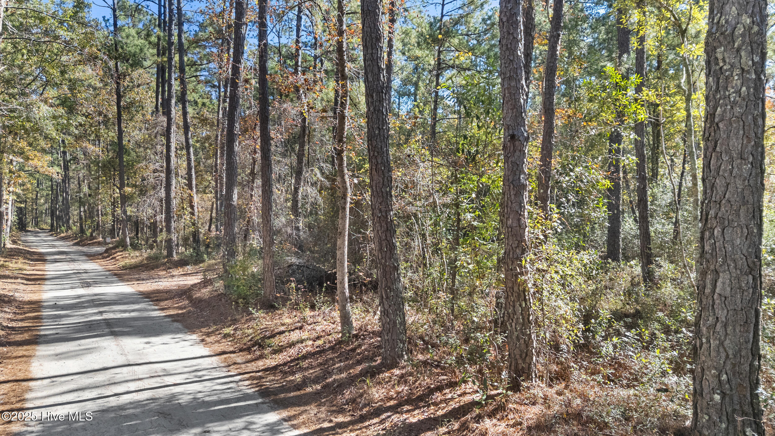 Currie, North Carolina 28435, United States, ,Land,Pending,255834