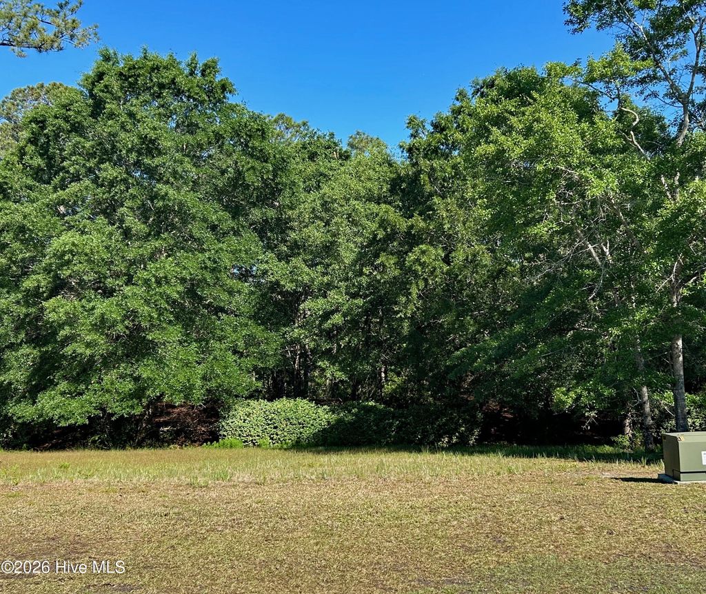 Photo of 337 River Village Square, Shallotte, NC 28470 (MLS # 100570930)