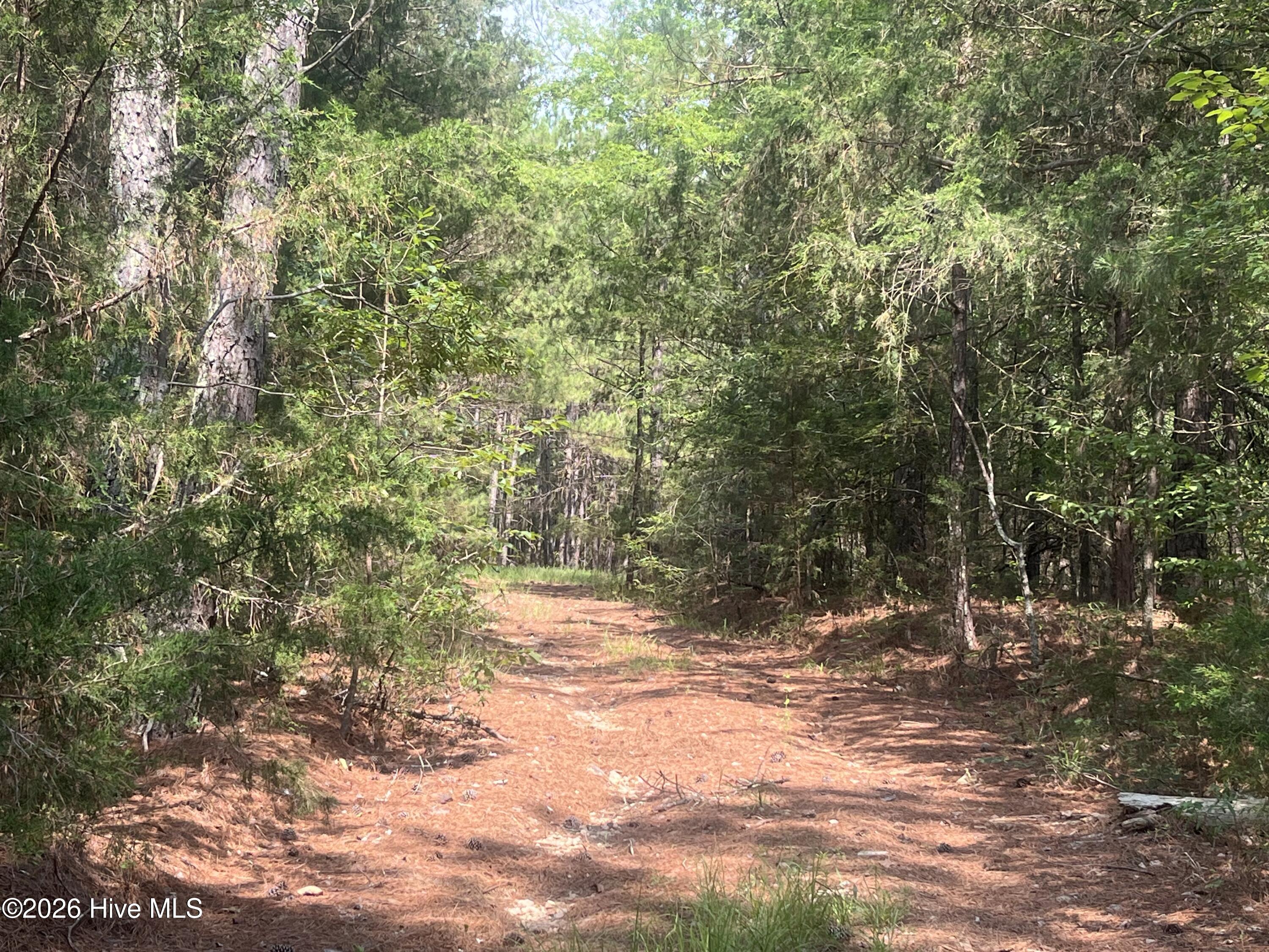 16.9 Ac Rowland-York Drive