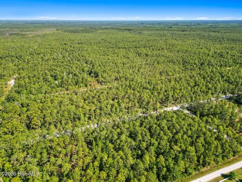Tiny photo for 7 Juniper Road, Boiling Spring Lakes, NC 28461 (MLS # 100575097)