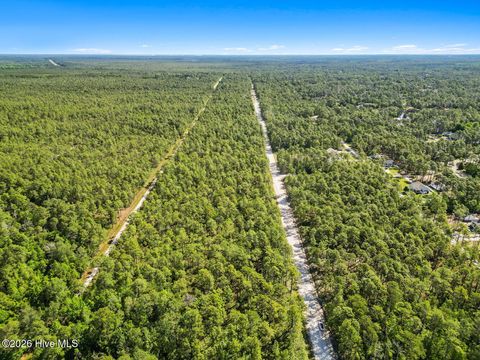 Tiny photo for 7 Juniper Road, Boiling Spring Lakes, NC 28461 (MLS # 100575097)
