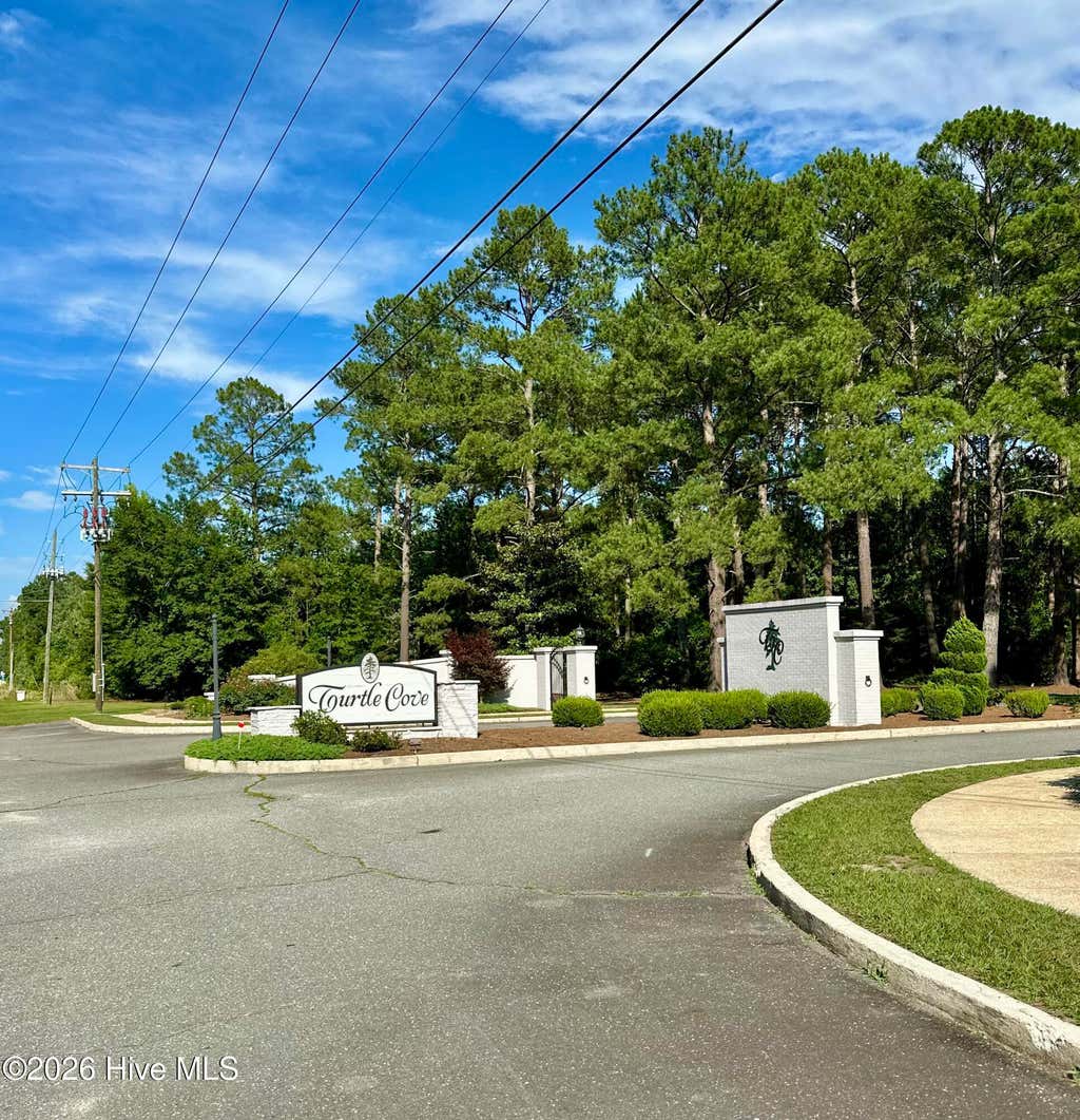 Photo of 364 Grays Lane, Elizabethtown, NC 28337 (MLS # 100583481)