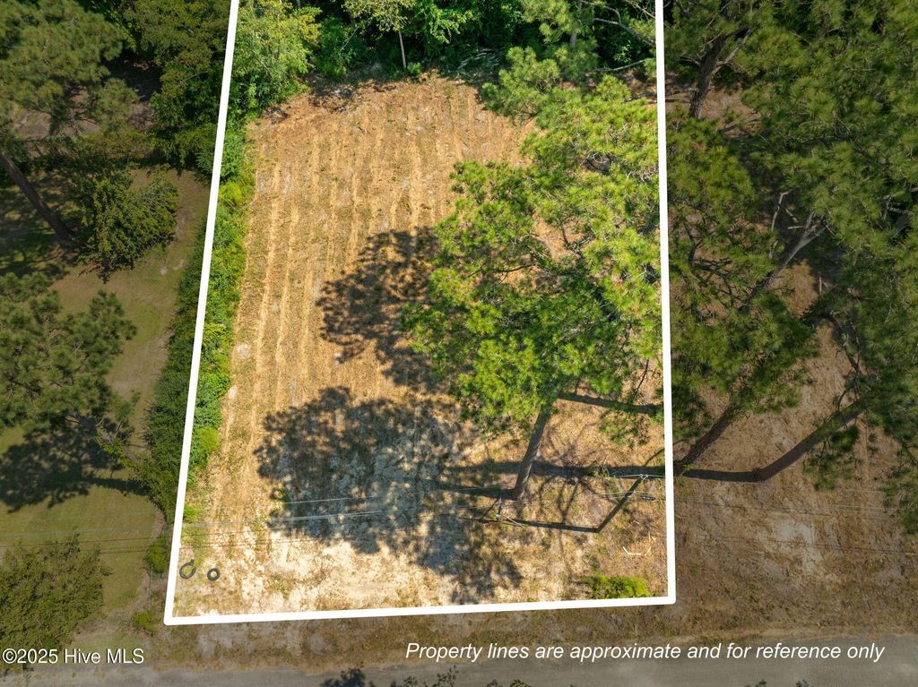 Photo of 126 Jupiter Trail, Jacksonville, NC 28546 (MLS # 100546344)