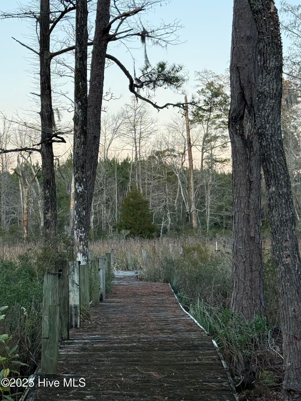 Photo of 258 Wards Lane, Havelock, NC 28532 (MLS # 100544891)