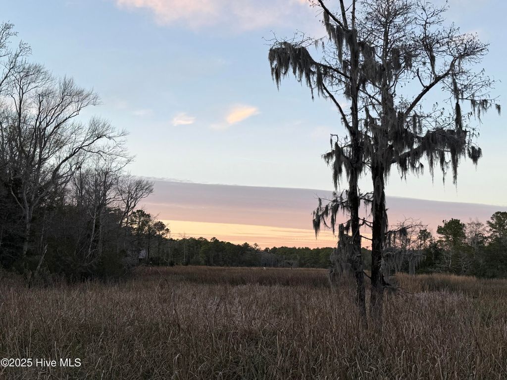 Photo of 258 Wards Lane, Havelock, NC 28532 (MLS # 100544891)