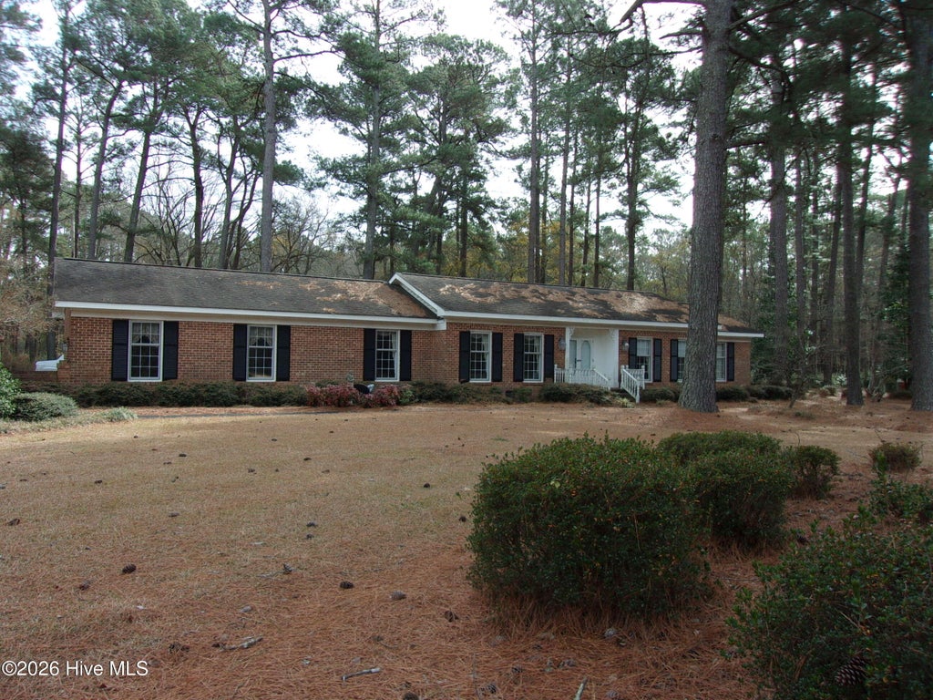 Photo of 1738 Paul Barnes Road, Chadbourn, NC 28431 (MLS # 100600768)