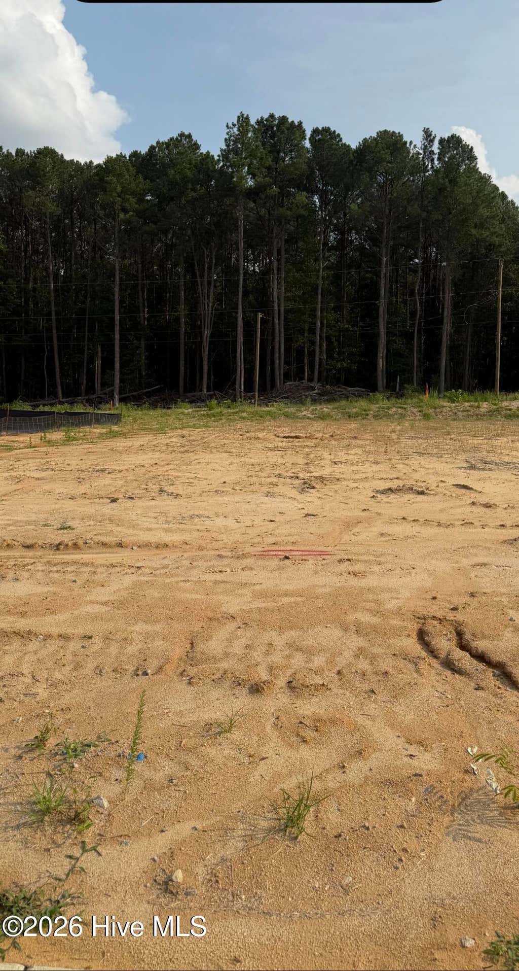 Photo of 135 White Bark Street #Lot 15, Rocky Mount, NC 27804 (MLS # 100597239)