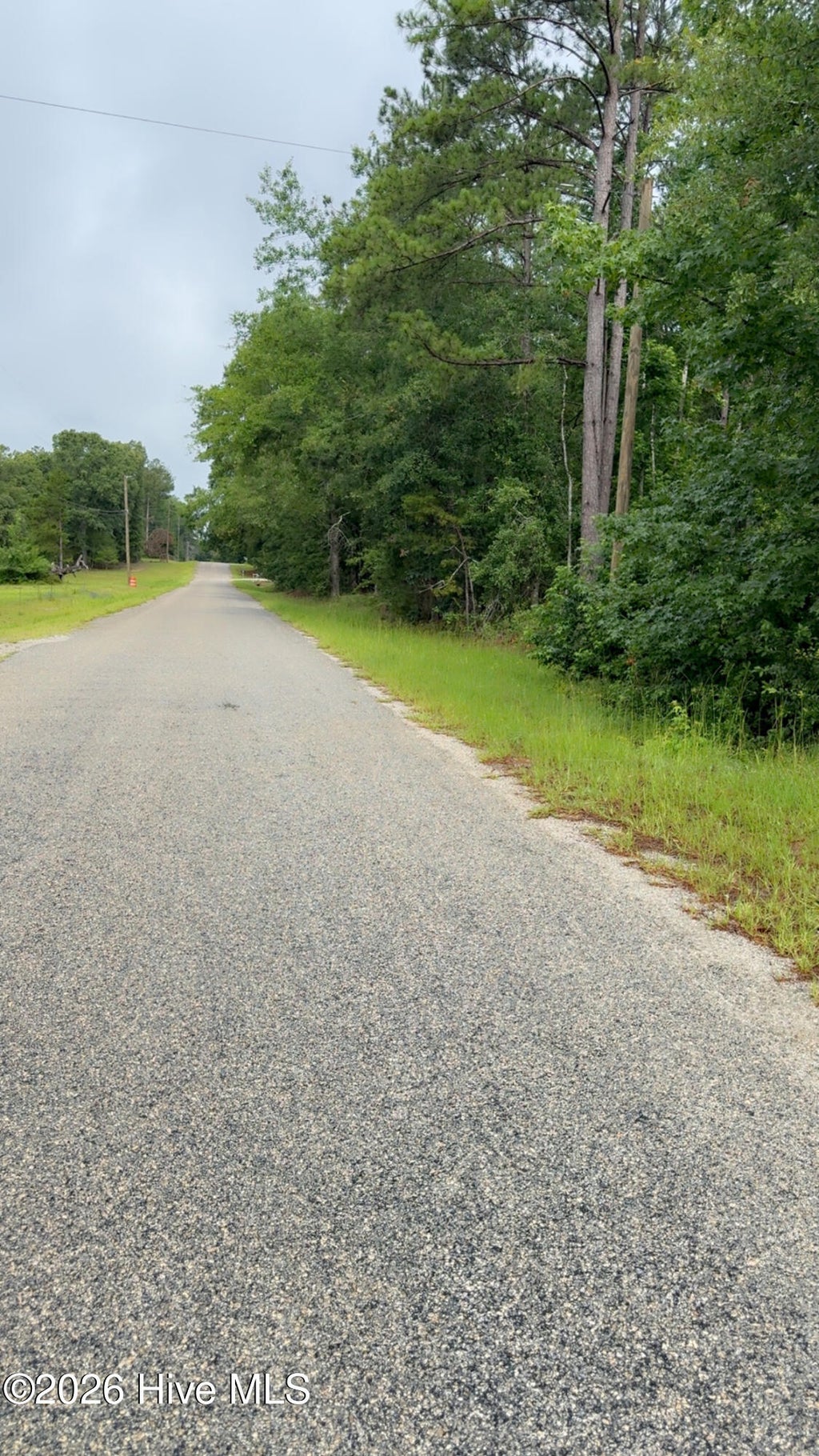 Photo of 18 Long Horn RD, Waynesboro, GA 30830 (MLS # 100582345)