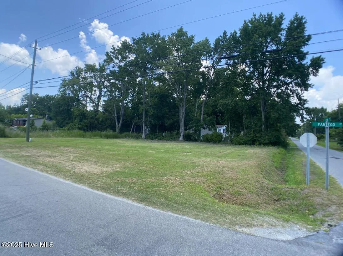Lot 1 Pantego Street