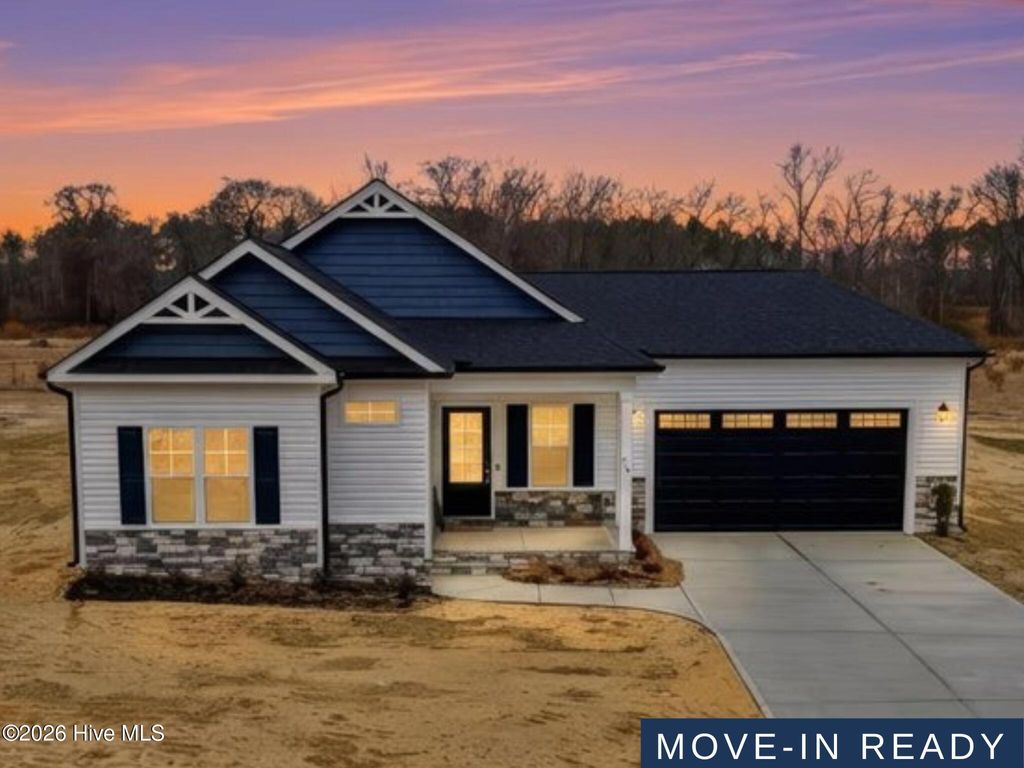 Photo of 317 Creeks Edge Drive, Pikeville, NC 27863 (MLS # 100538969)