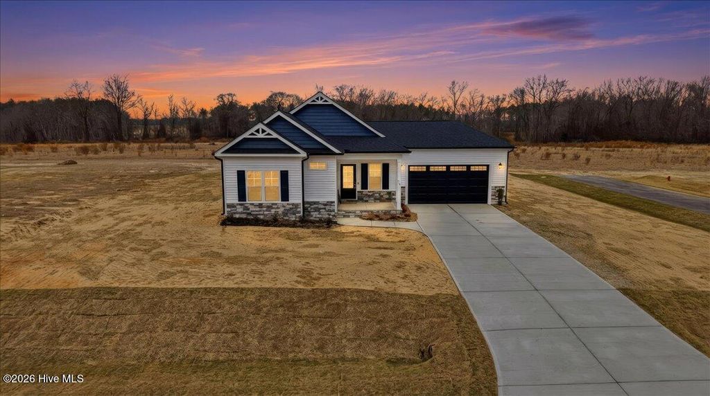 Photo of 317 Creeks Edge Drive, Pikeville, NC 27863 (MLS # 100538969)