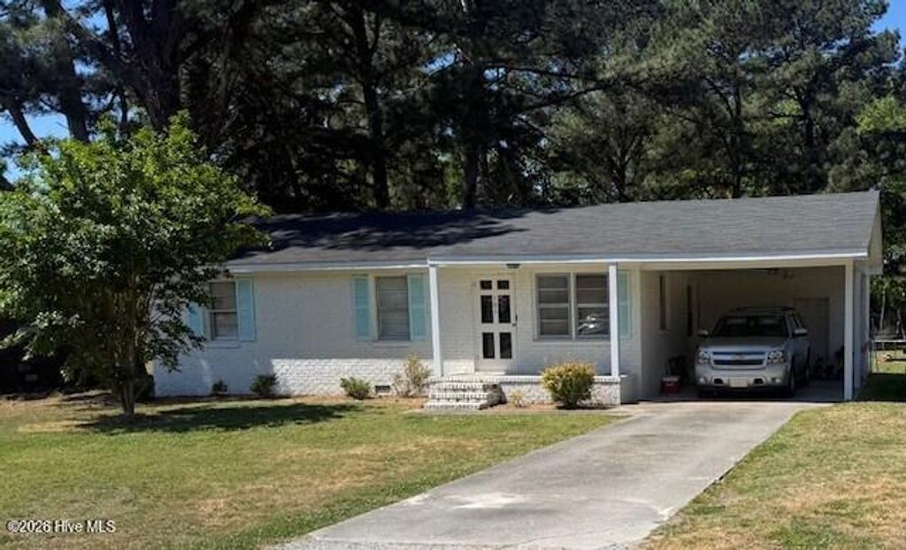 Photo of 203 Branch Street, Black Creek, NC 27813 (MLS # 100569780)