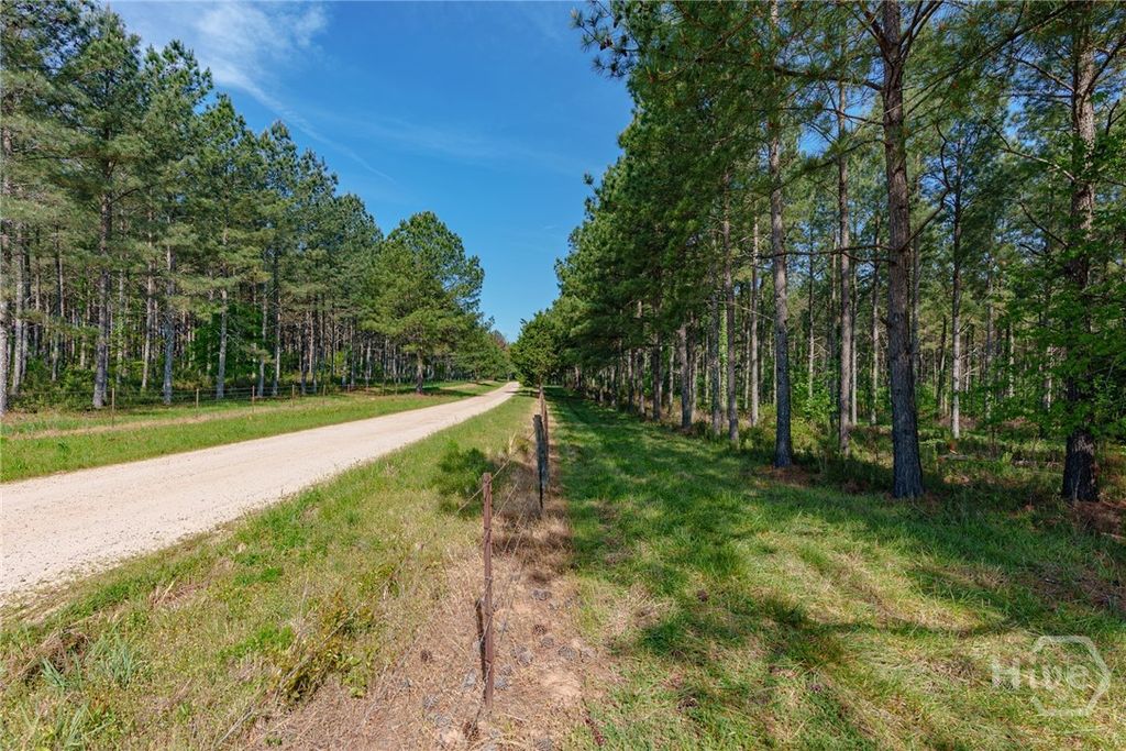 Photo of 0 Cunningham Road, Lexington, GA 30648 (MLS # CL355276)