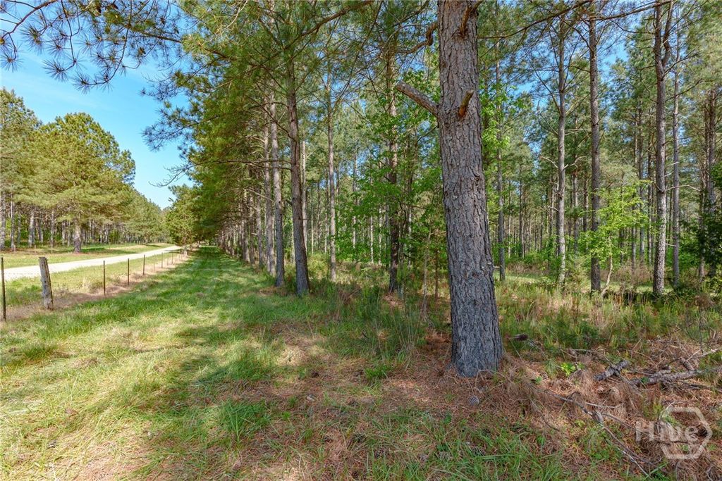 Photo of 0 Cunningham Road, Lexington, GA 30648 (MLS # CL355276)