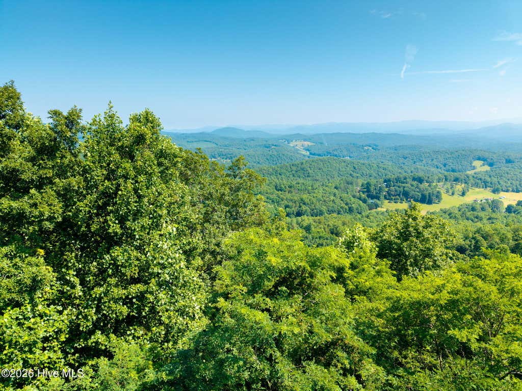 Photo of 46 Buck Ridge Drive, Murphy, NC 28906 (MLS # 100587403)
