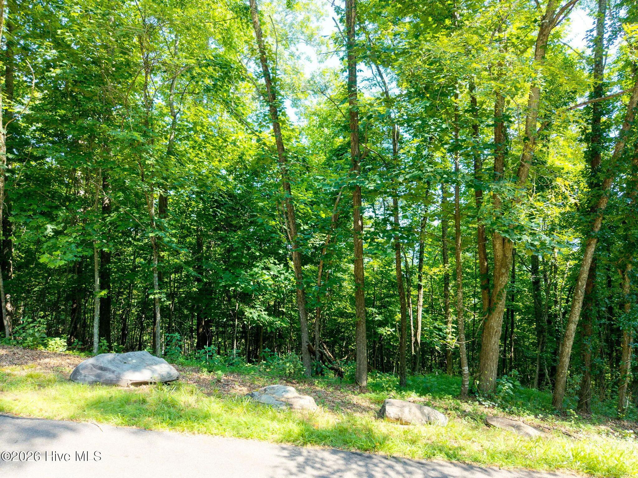46 Buck Ridge Drive