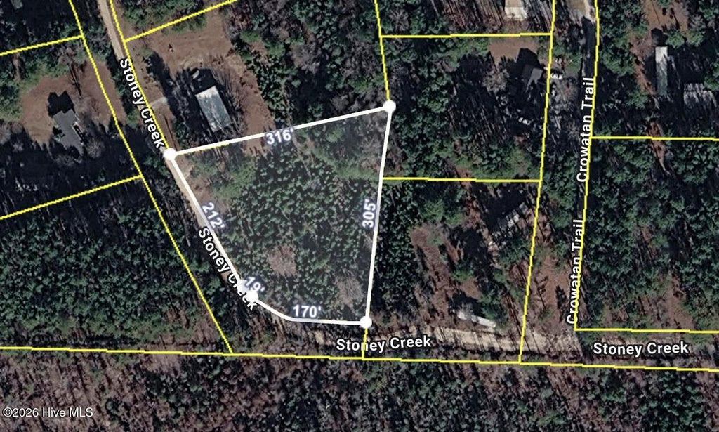 Photo of 142 Stoney Creek Drive, Carthage, NC 28327 (MLS # 100600032)