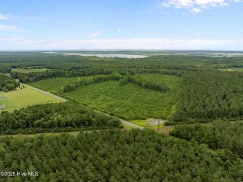 Vacant Land For Sale - Sr 1932<br/> Aurora, NC 27806