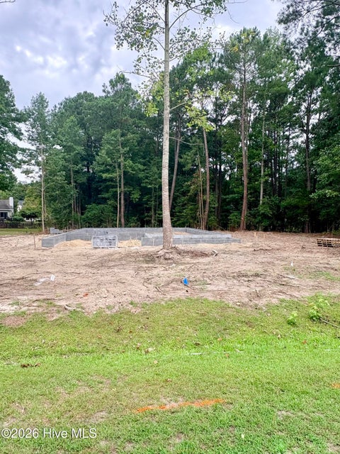 Tiny photo for 109 Line Boat Lane, Swansboro, NC 28584 (MLS # 100590951)