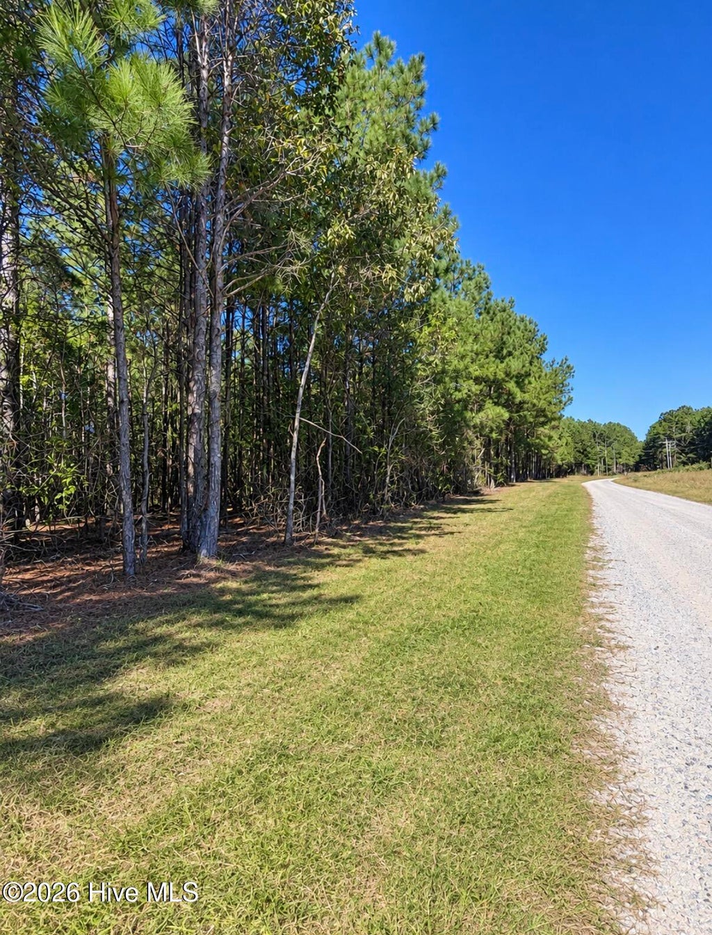 Photo of 0 Default Street Lot 5, Scranton, NC 27875 (MLS # 100612900)