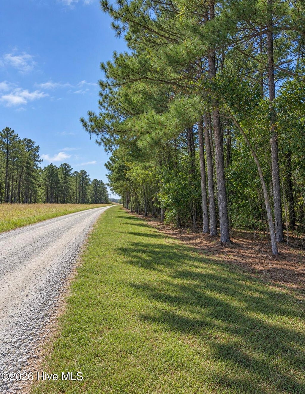 Photo of 0 Default Street Lot 5, Scranton, NC 27875 (MLS # 100612900)