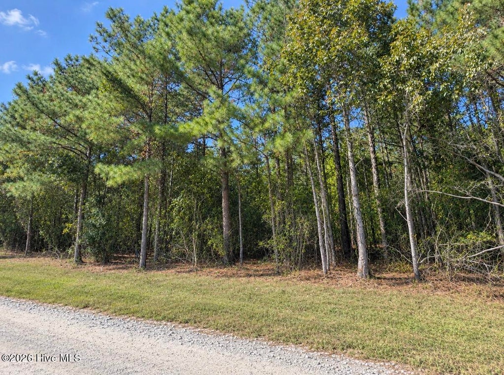 Photo of 0 Default Street Lot 5, Scranton, NC 27875 (MLS # 100612900)