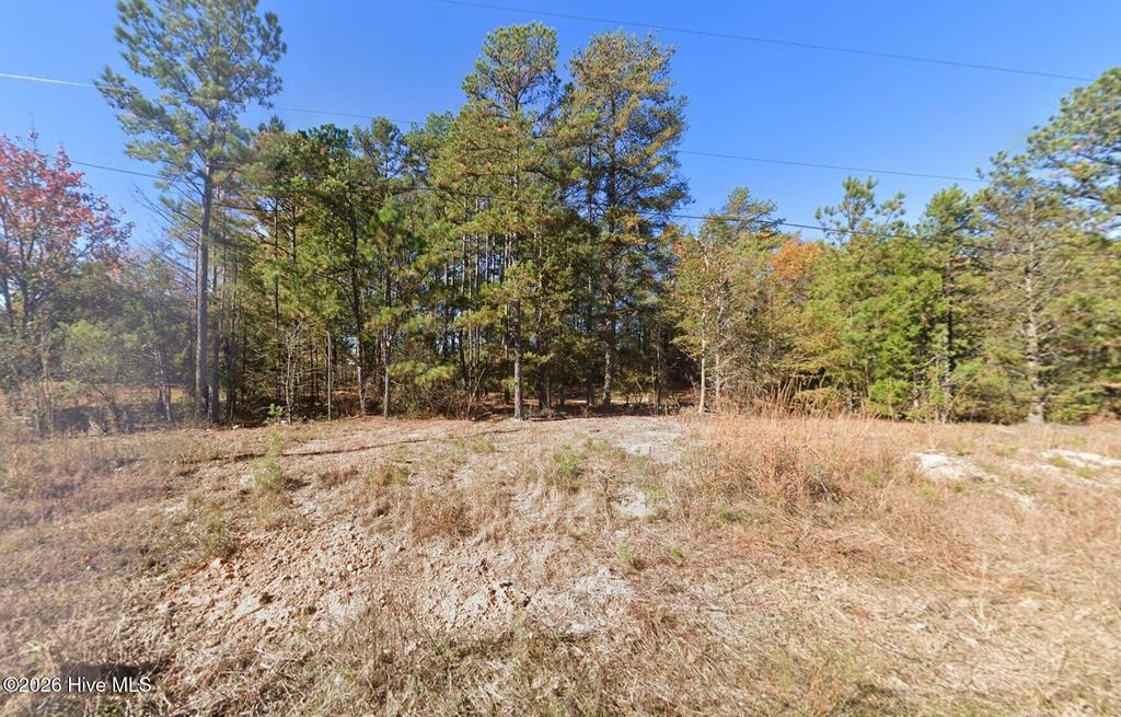 Photo of 230 Lakewood Drive, Matthews, NC 28104 (MLS # 100591401)
