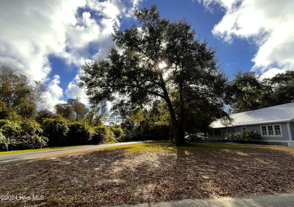 Photo of 301 Fire Fly Lane, Southport, NC 28461 (MLS # 100475757)