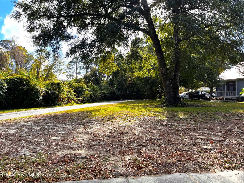 Photo of 301 Fire Fly Lane, Southport, NC 28461 (MLS # 100475757)