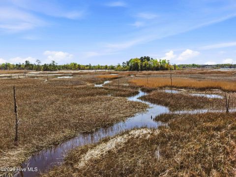 Tiny photo for 1624 Herons View Drive, Wilmington, NC 28401 (MLS # 100562614)