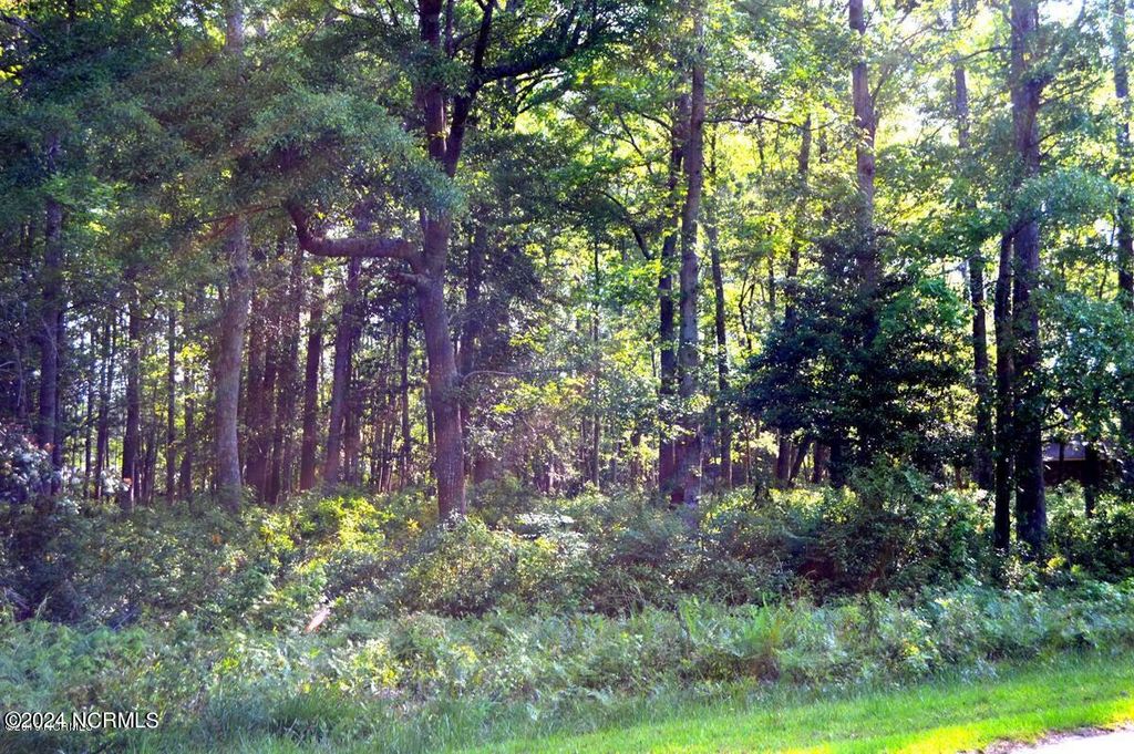 Photo of 17 Pinewood Drive, Carolina Shores, NC 28467 (MLS # 100467051)