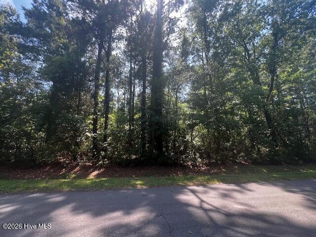 5710 Barbary Coast Drive, New Bern, NC, 28560