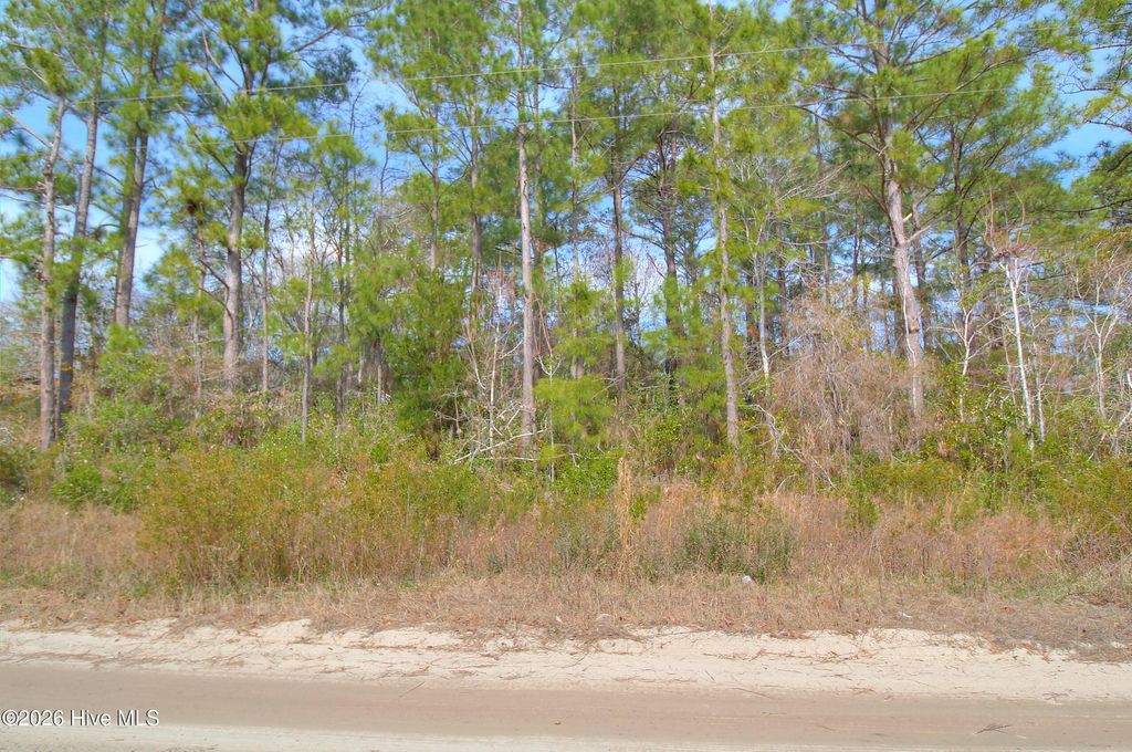 Photo of 2890 Bird Drive SW, Shallotte, NC 28470 (MLS # 100557950)