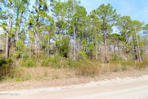 Vacant Land For Sale - 2890 Bird Drive<br/> Shallotte, NC 28470