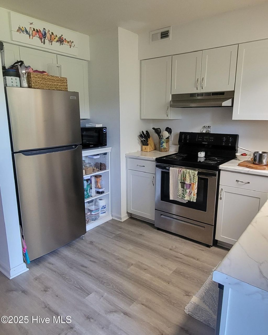 Photo of 4169 Spirea Drive, Wilmington, NC 28403 (MLS # 100545599)