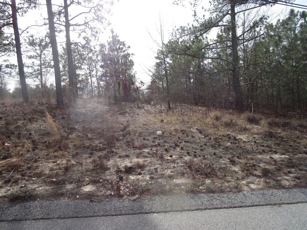 Photo of 3024 THORNHILL Drive, Hephzibah, GA 30815 (MLS # 511271)