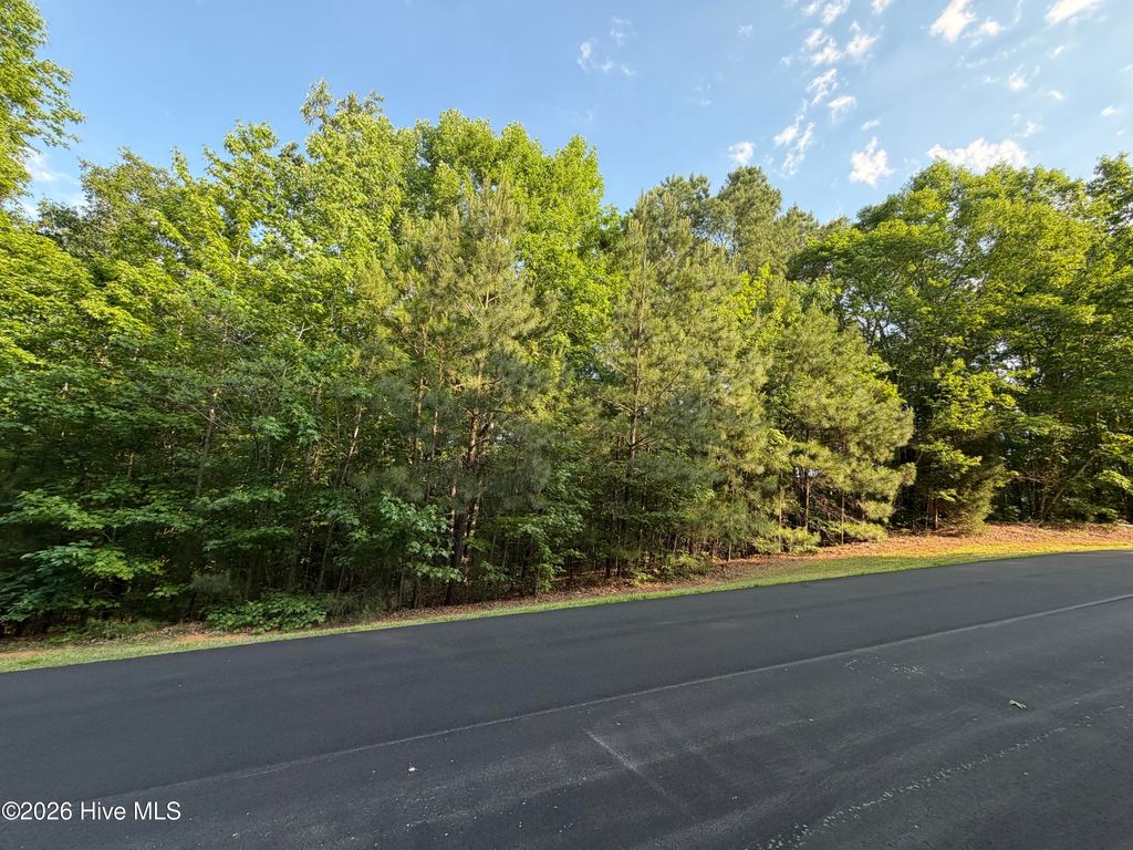 Photo of 150 Watsons Way, Rockingham, NC 28379 (MLS # 100575908)