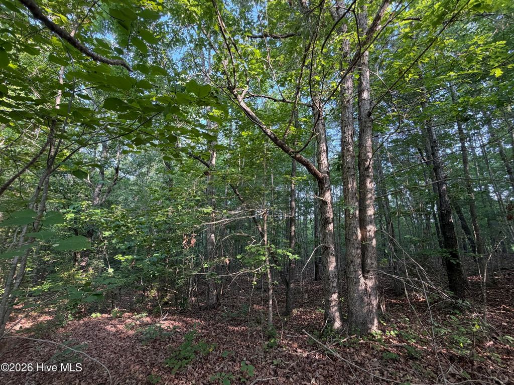 Photo of 150 Watsons Way, Rockingham, NC 28379 (MLS # 100575908)