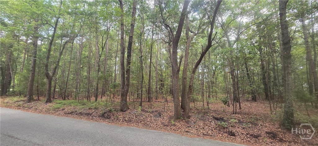 Photo of 0 Poplar, Guyton, GA 31312 (MLS # SA363305)