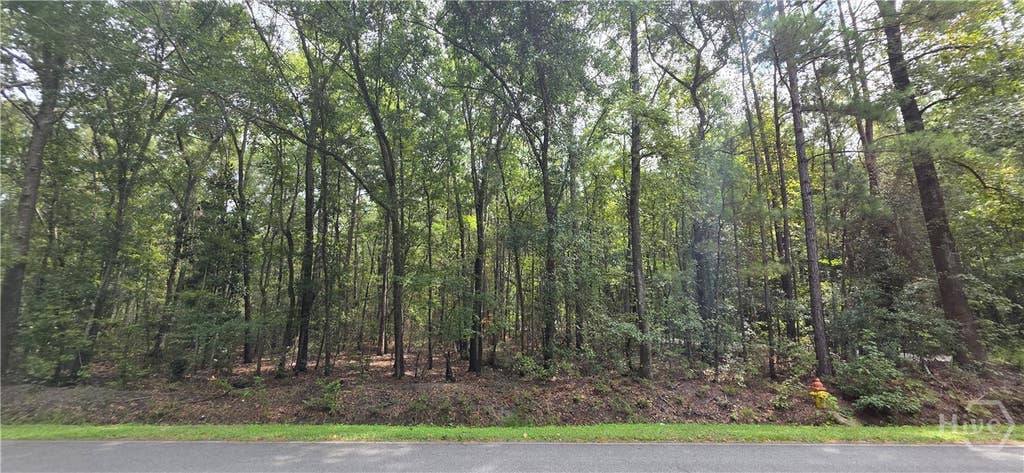 Photo of 0 Poplar, Guyton, GA 31312 (MLS # SA363305)