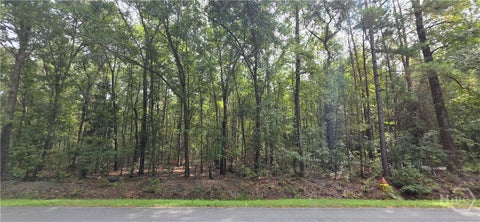 Vacant Land For Sale - Poplar<br/> Guyton, GA 31312