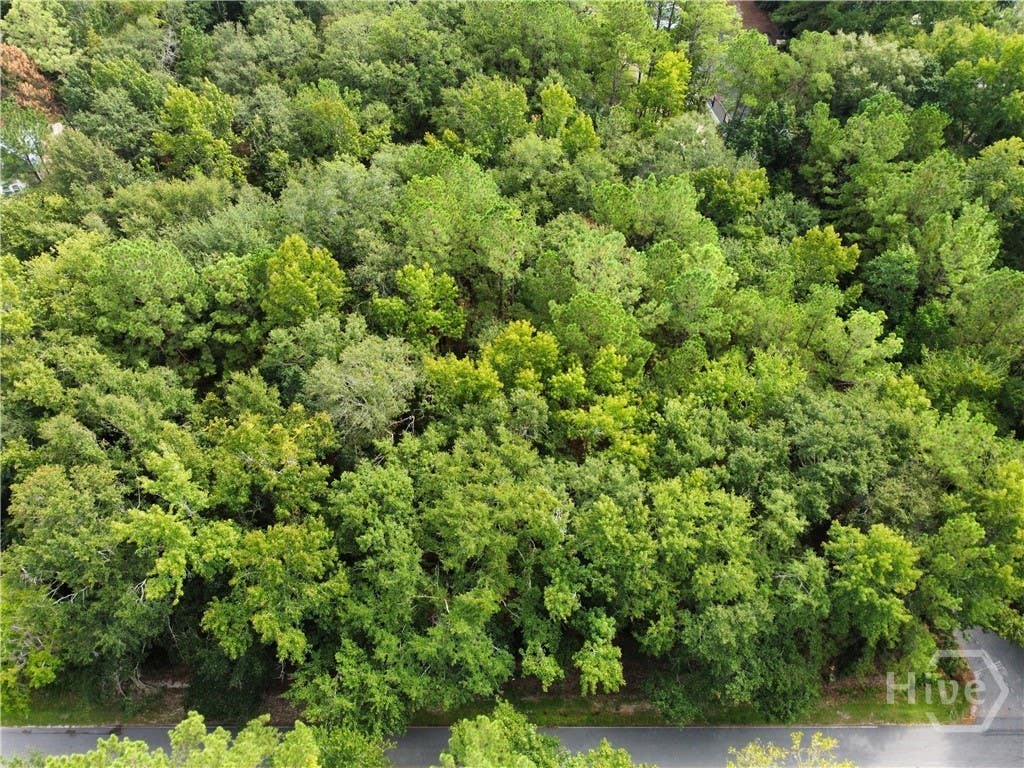 Photo of 0 Poplar, Guyton, GA 31312 (MLS # SA363305)