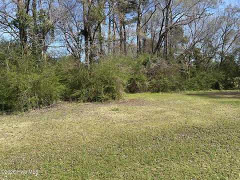 Photo of 0 Willard Railroad Street, Willard, NC 28478 (MLS # 100560885)