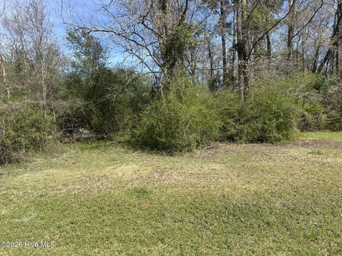Tiny photo for 0 Willard Railroad Street, Willard, NC 28478 (MLS # 100560885)