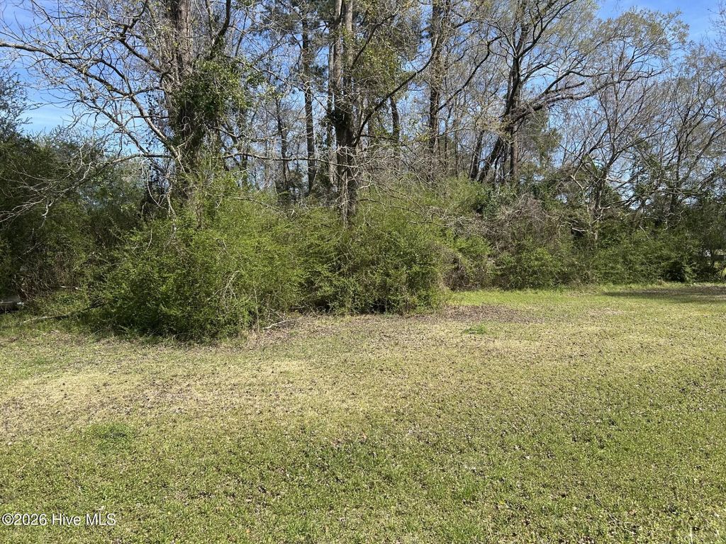 Photo of 0 Willard Railroad Street, Willard, NC 28478 (MLS # 100560885)