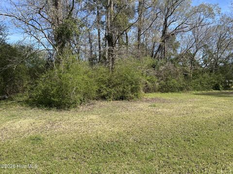 Tiny photo for 0 Willard Railroad Street, Willard, NC 28478 (MLS # 100560885)