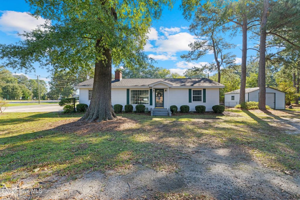 Photo of 208 N Church Street, Faison, NC 28341 (MLS # 100547790)