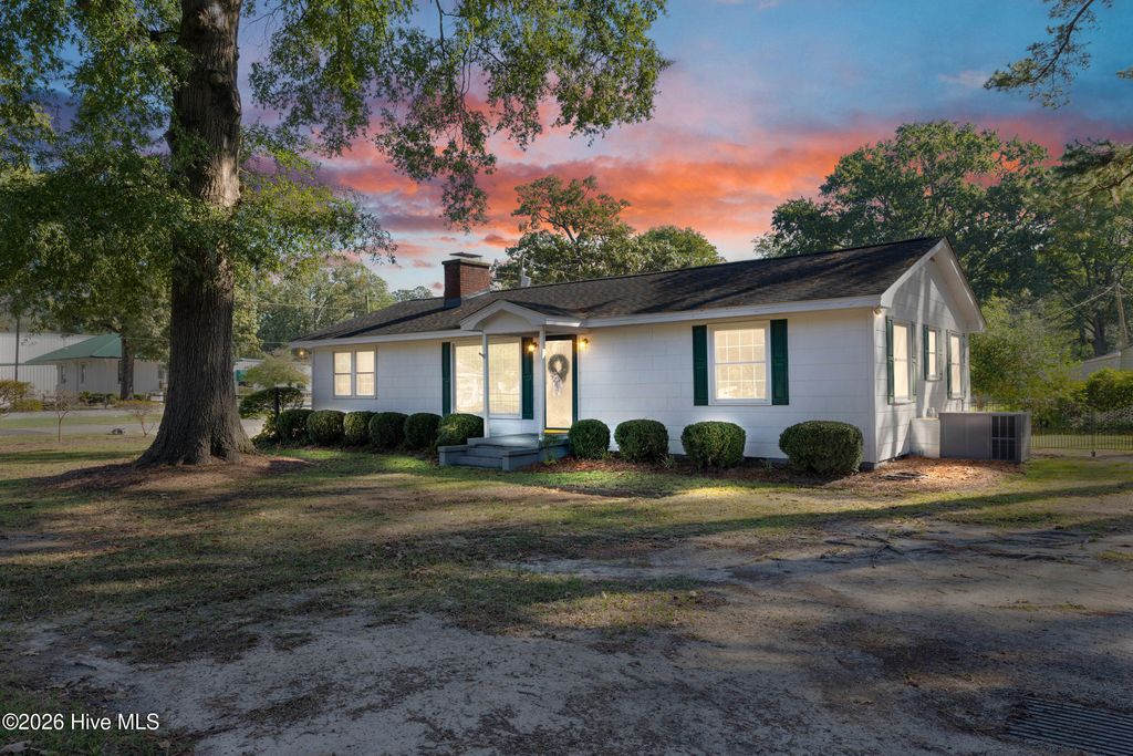 Photo of 208 N Church Street, Faison, NC 28341 (MLS # 100547790)