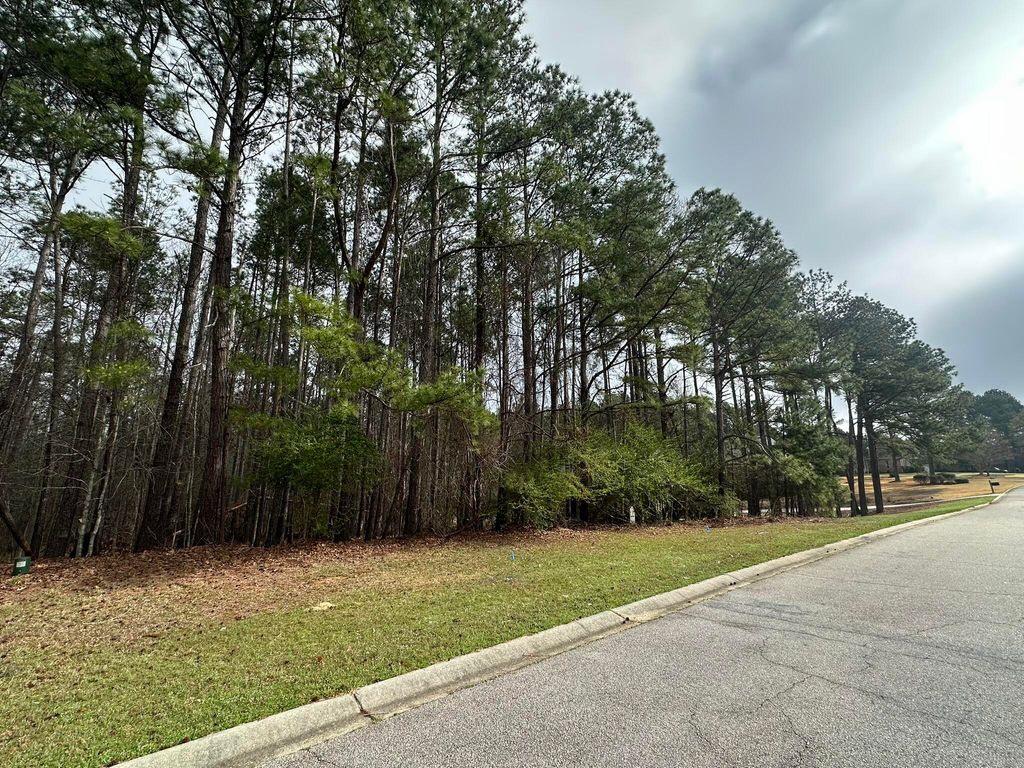 Photo of 1048 Longstreet Place, North Augusta, SC 29860 (MLS # 553307)