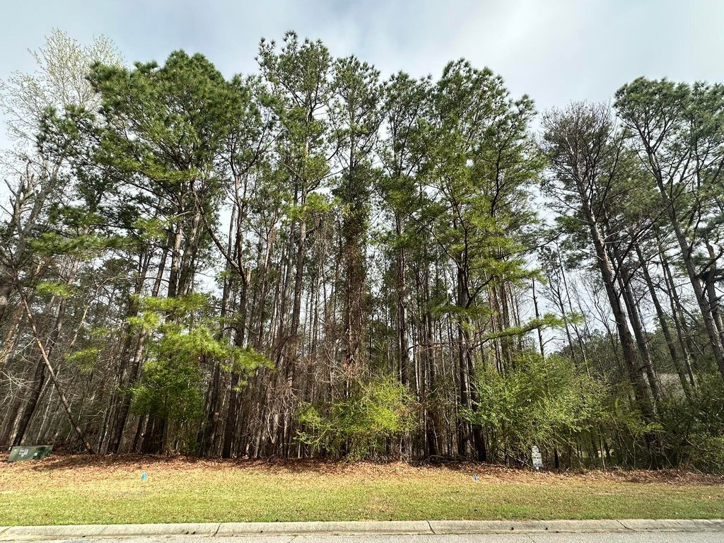 Photo of 1048 Longstreet Place, North Augusta, SC 29860 (MLS # 553307)